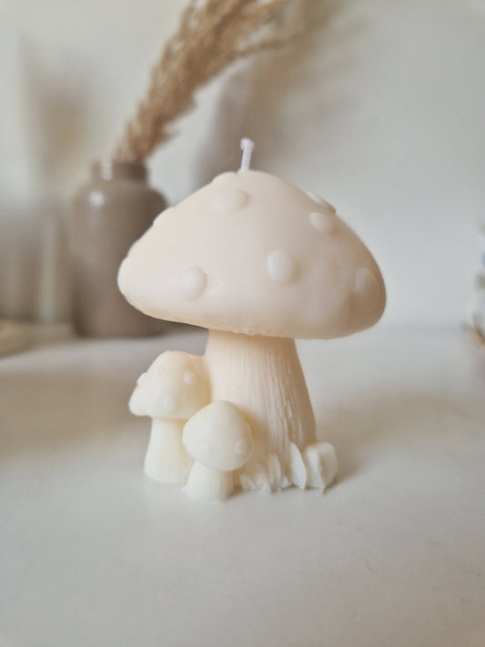 Mushroom